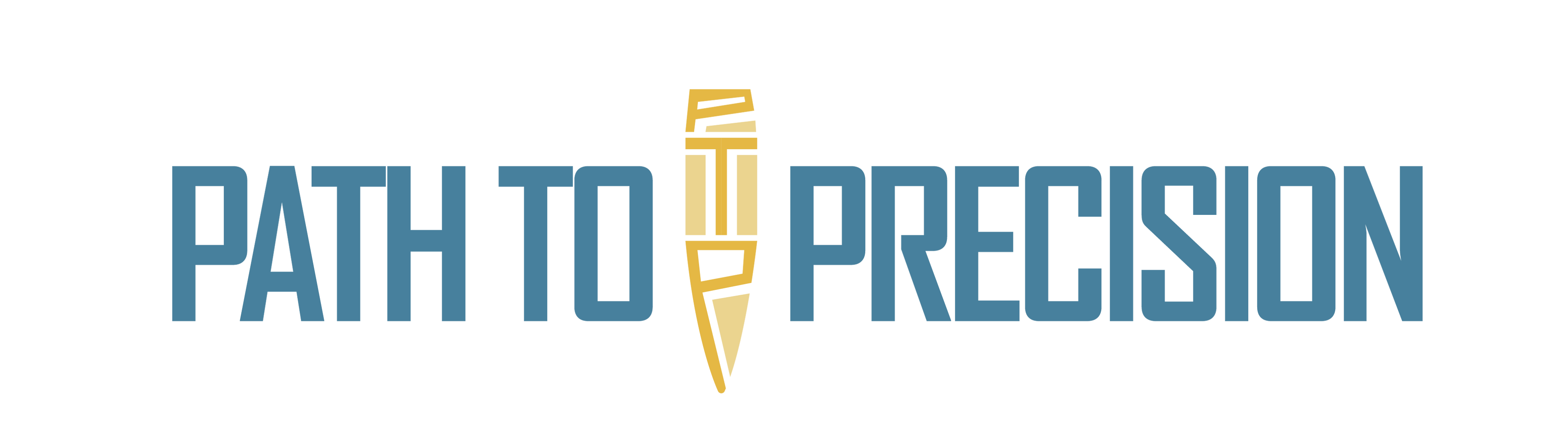 Path to Precision Shop